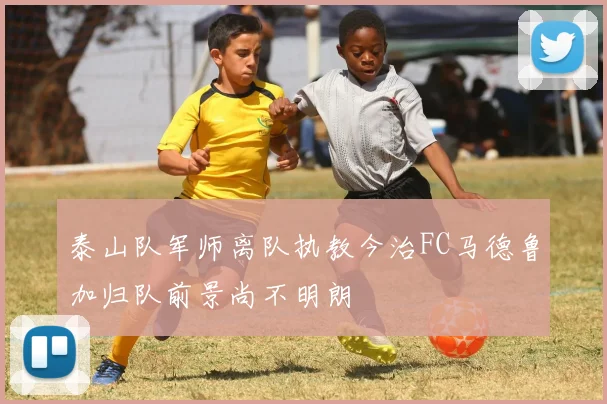 泰山队军师离队执教今治FC马德鲁加归队前景尚不明朗