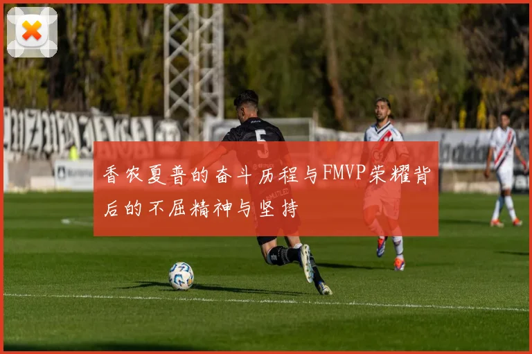 香农夏普的奋斗历程与FMVP荣耀背后的不屈精神与坚持