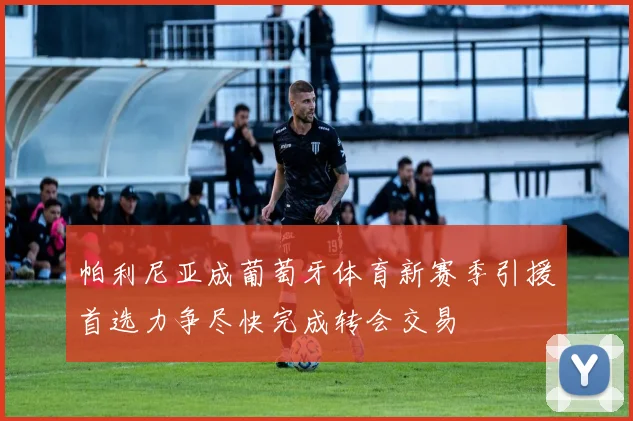 帕利尼亚成葡萄牙体育新赛季引援首选力争尽快完成转会交易